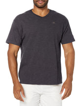 Champion mens Classic Jersey V-neck Tee Shirt, Granite Heather, Small US